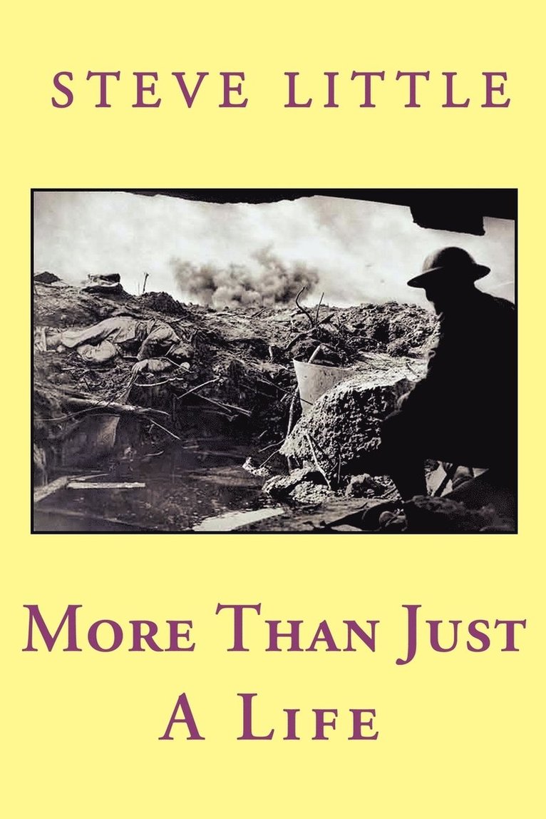 Steve Little - More Than Just a Life, Häftad