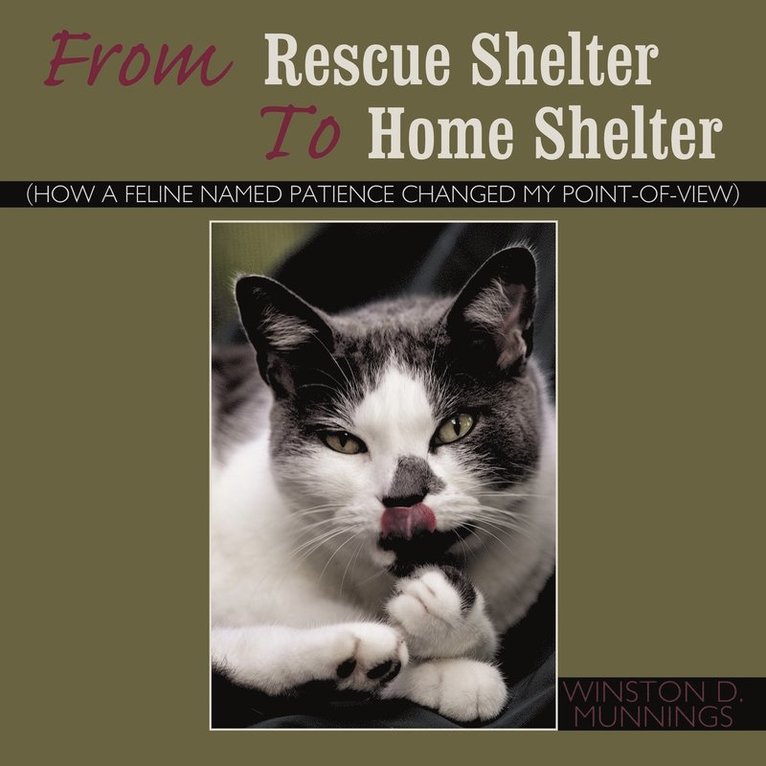 From Rescue Shelter To Home Shelter 1
