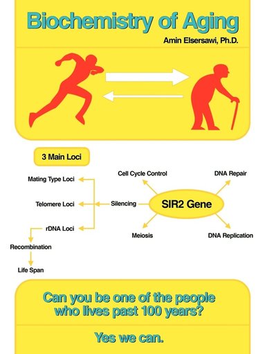 bokomslag Biochemistry of Aging