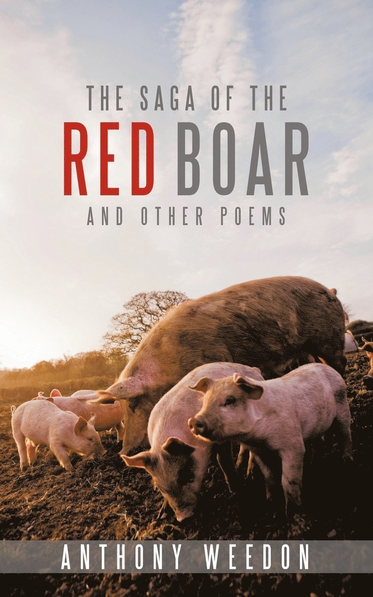 The Saga of the Red Boar 1