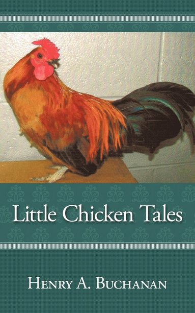 bokomslag Little Chicken Tales