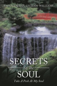 bokomslag Secrets Of The Soul