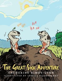 bokomslag Great Sock Adventure