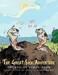 bokomslag The Great Sock Adventure