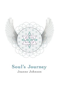 bokomslag Soul's Journey