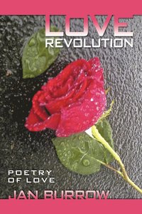 bokomslag Love Revolution