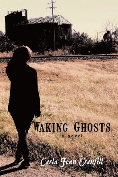 bokomslag Waking Ghosts