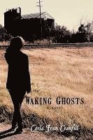 Waking Ghosts 1