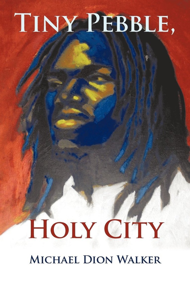 Michael Dion Walker - Tiny Pebble, Holy City, Häftad