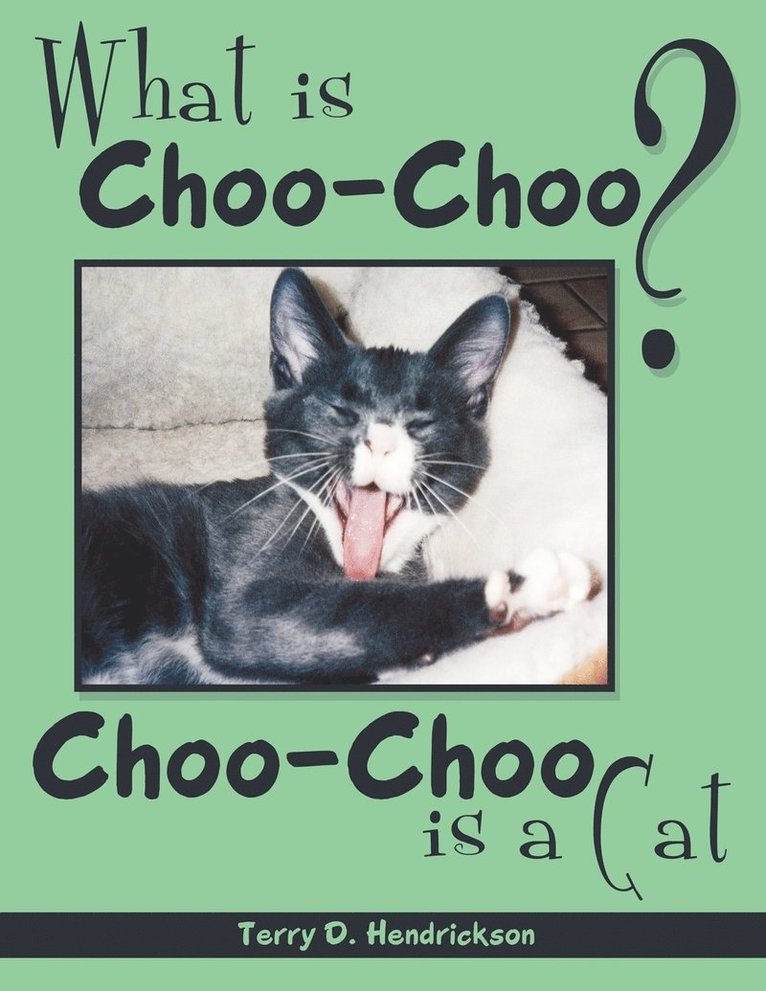 What is Choo-Choo? 1
