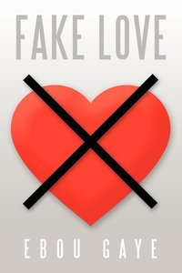 bokomslag Fake Love