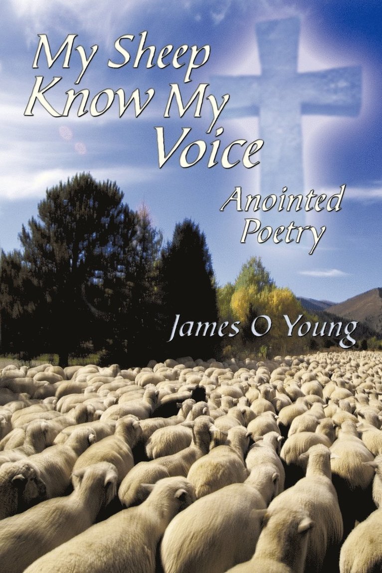 James O Young, James O. Young - My Sheep Know My Voice, Häftad