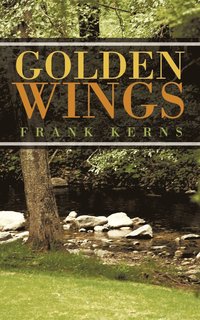 bokomslag Golden Wings