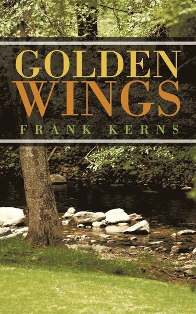 bokomslag Golden Wings