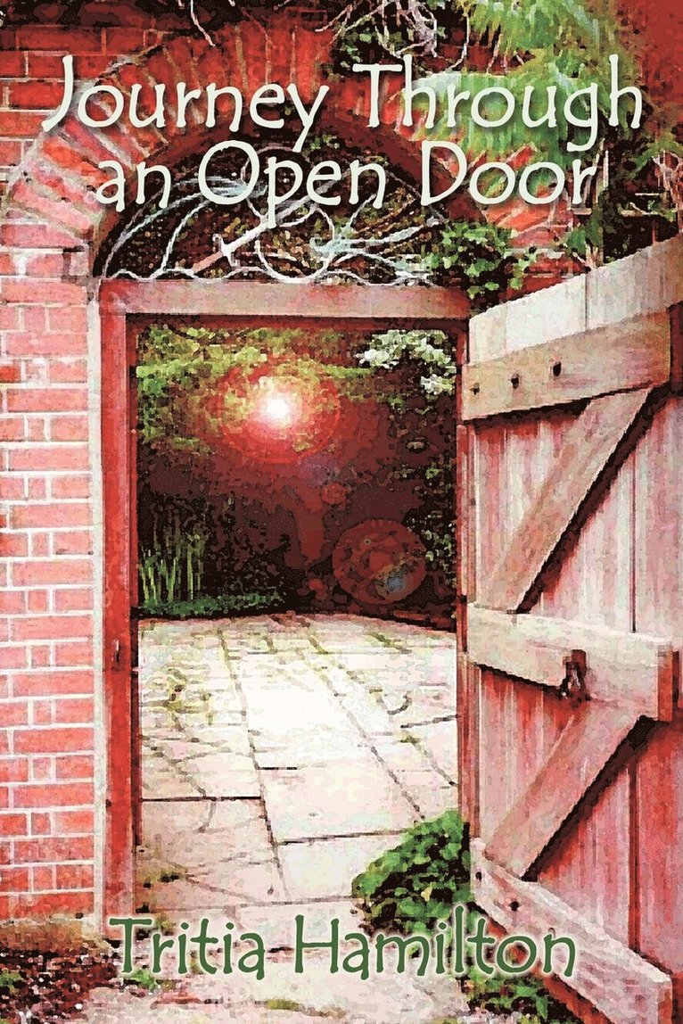 Journey Through an Open Door 1