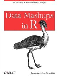 bokomslag Data Mashups in R