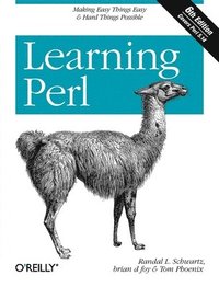 bokomslag Learning Perl