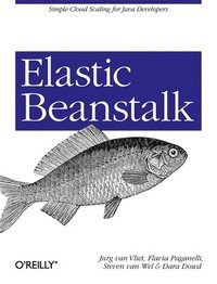 bokomslag Elastic Beanstalk