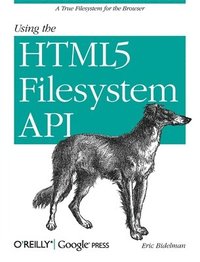 bokomslag Using the HTML5 Filesystem API