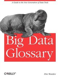 bokomslag Big Data Glossary
