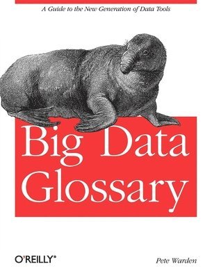 Big Data Glossary 1