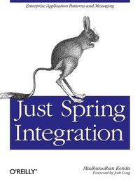 bokomslag Just Spring Integration