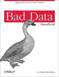 bokomslag Bad Data Handbook