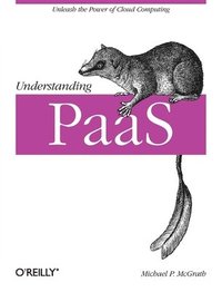 bokomslag Understanding PaaS