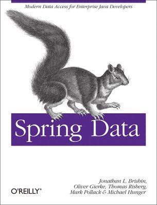 Jon Brisbin, Mark Pollack, Oliver Gierke, Thomas Risberg, Michael Hunger - Spring Data: The Definitive Guide, Häftad
