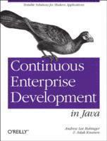 bokomslag Continuous Enterprise Development in Java