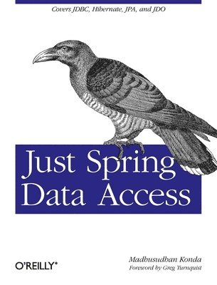 Just Spring Data 1