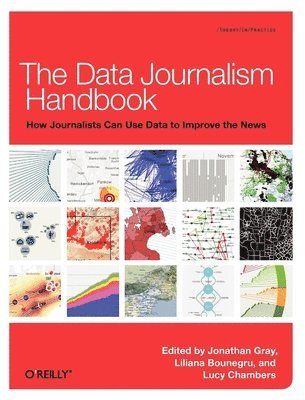 Jonathan Gray, Lucy Chambers, Liliana Bounegru - Data Journalism Handbook, Häftad