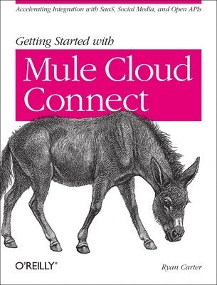 bokomslag 50 Recipes for Enterprise Class Web Services with Mule ESB 3