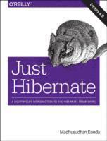 bokomslag Just Hibernate