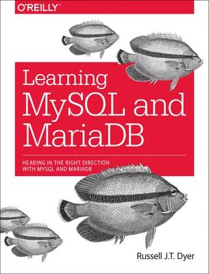 bokomslag Learning MySQL and MariaDB