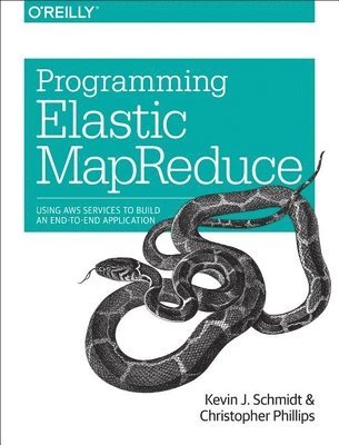 Programming Elastic MapReduce: Using AWS services to build an end-to-end application 1