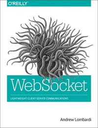 bokomslag WebSockets