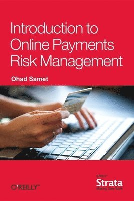 bokomslag Introduction to Online Payments Risk Management