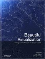 bokomslag Beautiful Visualization : Looking At Data Through The Eyes Of Experts