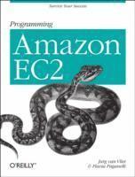 bokomslag Programming Amazon EC2