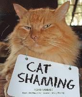 Pedro Andrade - CAT SHAMING, Häftad