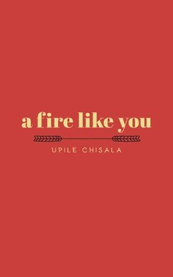 bokomslag a fire like you