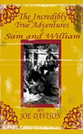 bokomslag The Incredibly Not So True Adventures of Sam and William