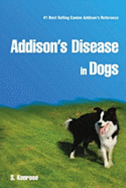 bokomslag Addison's Disease in Dogs