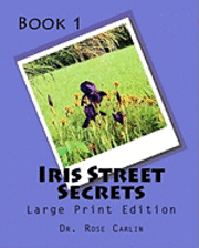 bokomslag Iris Street Secrets: Large Print Edition