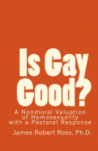 bokomslag Is Gay Good?: A Study of the Nonmoral Value of Homosexuality