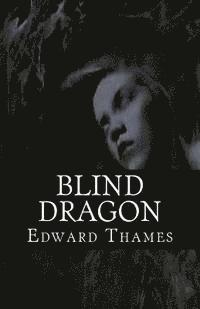 bokomslag Blind Dragon