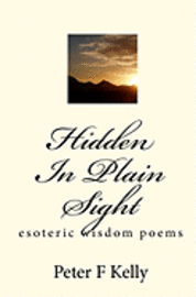 bokomslag Hidden In Plain Sight: esoteric wisdom poems