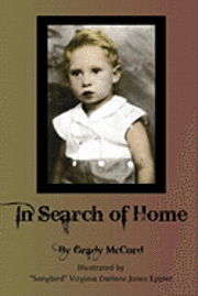 bokomslag In Search of Home