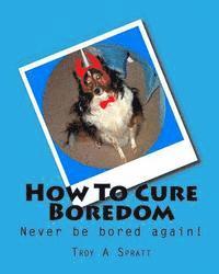 Troy A. Spratt - How To Cure Boredom, Häftad